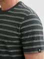 Vanguard t-shirts VTSS2604534