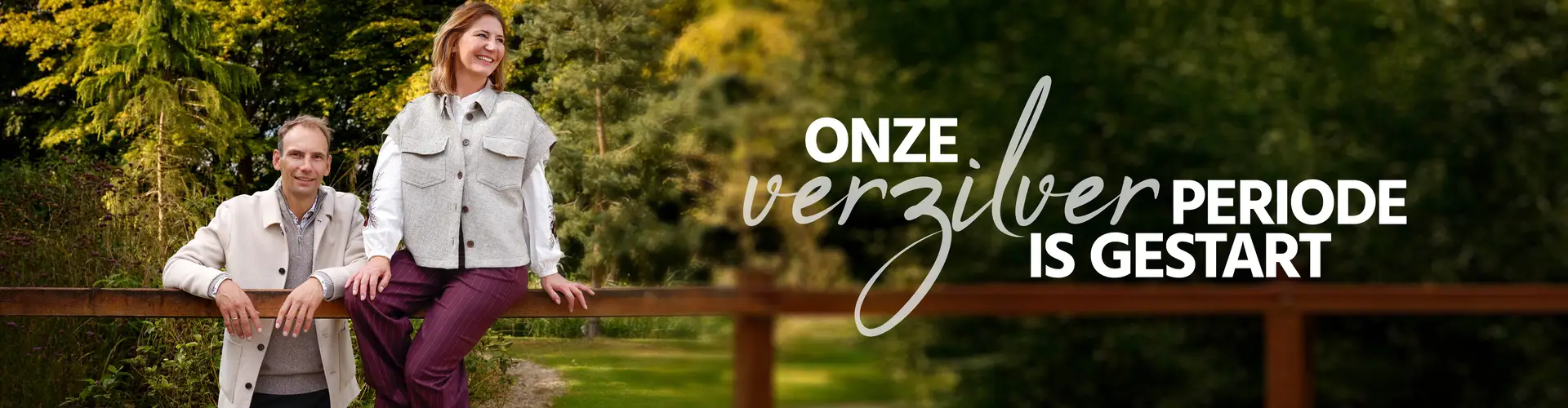 Verzilveren